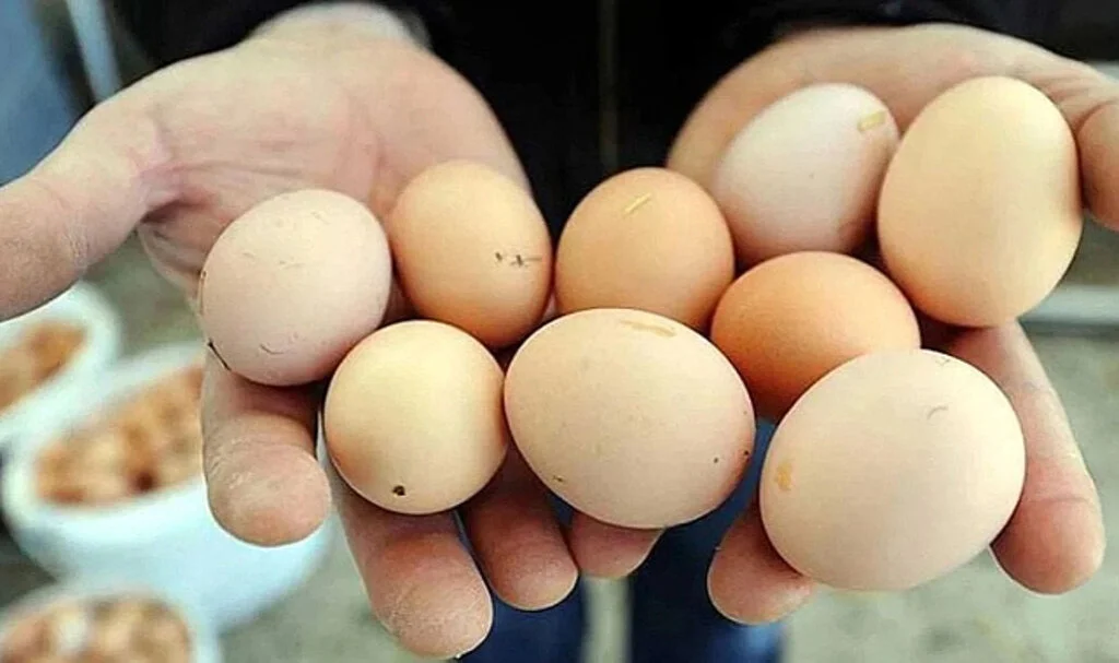 Yumurta Fiyatları 3 TL’yi Aştı: Piyasada Neler Oluyor?