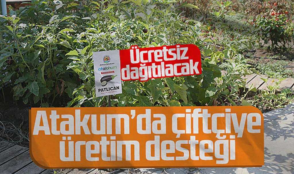 Atakum'da Çiftçiye Üretim Desteği! Ata Tohumları Ücretsiz Dağıtılacak