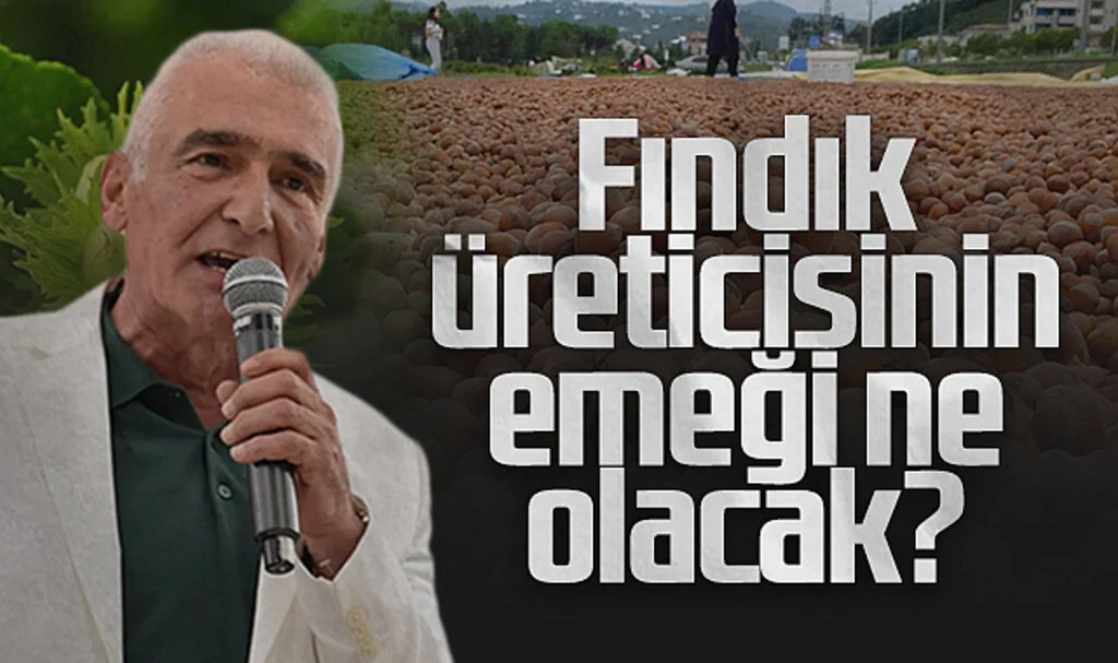 Ayvacık Ziraat Odası Başkanı Erdal Avcı: Fındık üreticisinin emeği ne olacak?