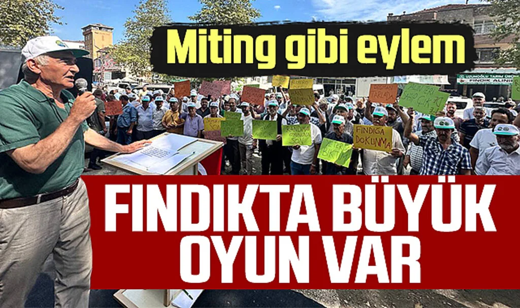 Ayvacık Ziraat Odası Başkanı Erdal Avcı: Fındıkta Büyük Oyun Var