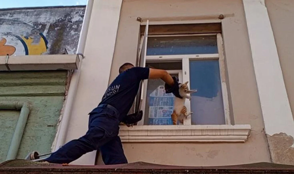 Bafra'da Cama Ayağı Sıkışan Kedi Kurtarıldı