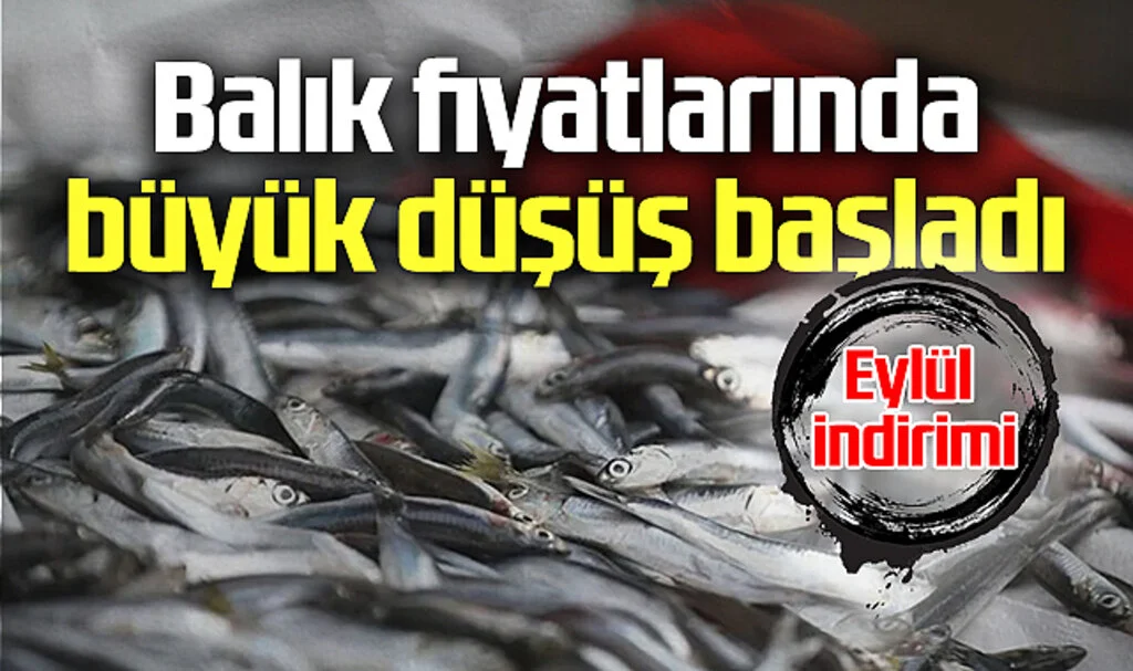 Balık Fiyatlarında Büyük Düşüş Başladı: Eylül İndirimi