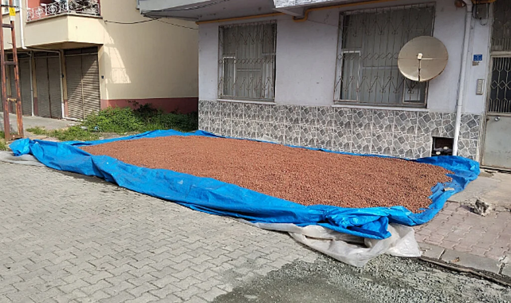 Çarşamba’da Fındık Kurutma Mesaisi Başladı
