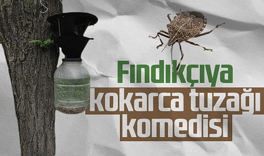 Fındıkçıya Kokarca Tuzağı Komedisi 