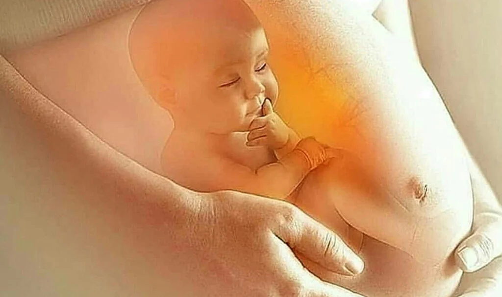 Hamilelik Süreci ve Bebek Gelişiminin İlk Aşamaları: Bilmeniz Gerekenler