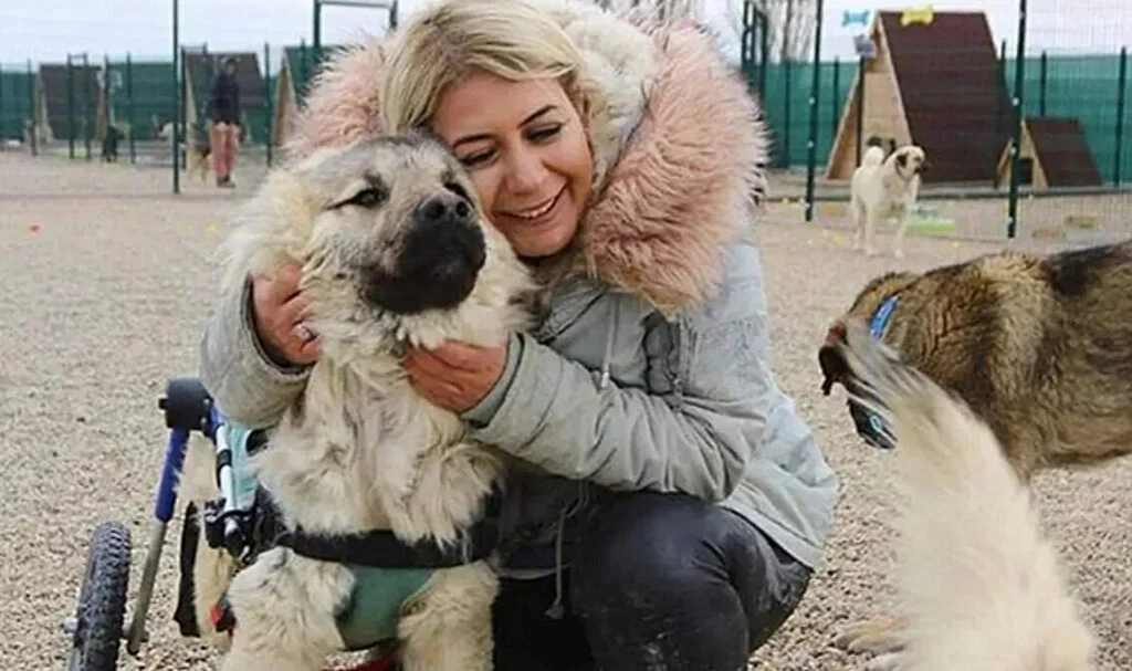Hayvan Derneği Başkanı Bağışlarla Zenginleşti