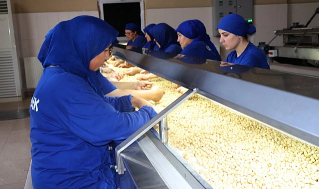 Hedef: 300 Bin Tonun Üzerinde Fındık İhracatı