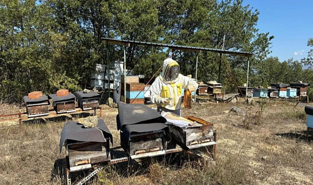 Hobi Olarak Başladı, Şimdi Yıllık 500 Kilo Bal Üretiyor