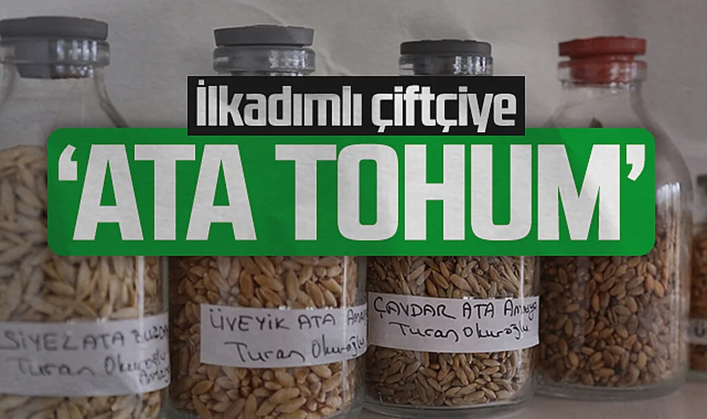 İlkadım Belediyesi, Ata Tohumlarıyla Organik Tarımı Teşvik Edecek