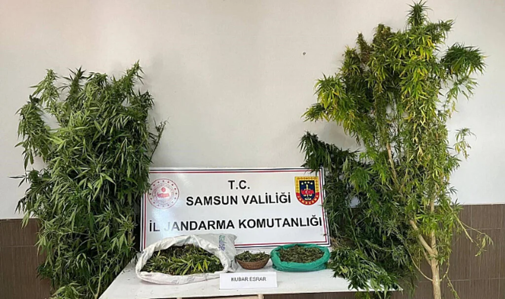 Jandarmadan uyuşturucu operasyonu