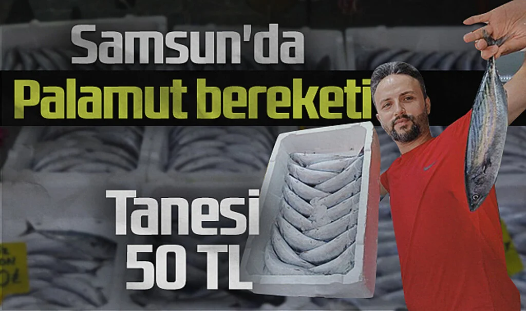 Karadeniz'de Palamut Bereketi: Tanesi 50 TL'ye Satılıyor