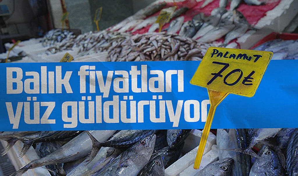 Karadeniz'de Palamut Bolluğu! Balık Fiyatları Yüz Güldürüyor
