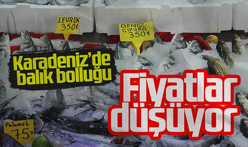 Karadeniz’deki Balık Bolluğu Çarşamba’da Tezgahları Şenlendirdi