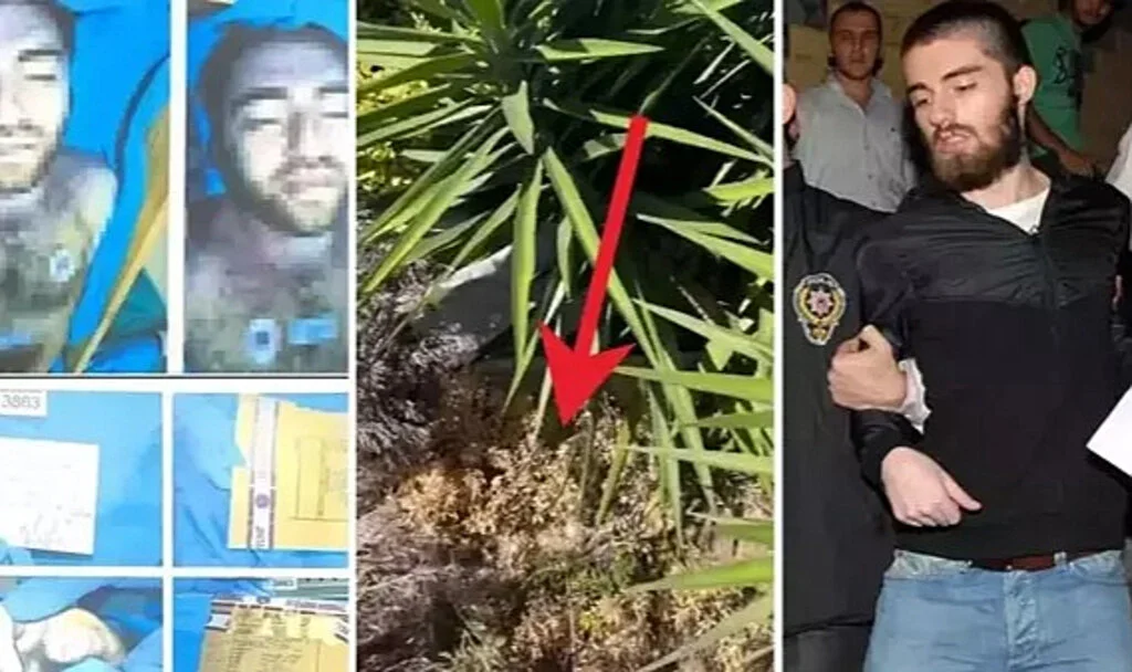 Münevver Karabulut Cinayeti: Cem Garipoğlu'nun Mezarının Açılma Tarihi Açıklandı