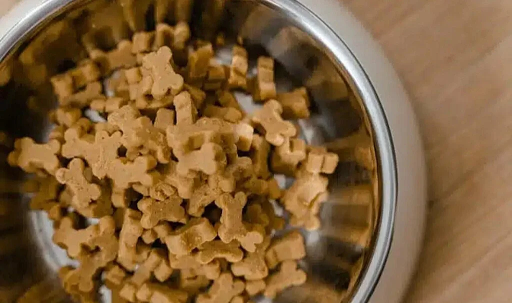 Sağlıklı ve Dengeli Beslenme İçin Yetişkin Köpek Maması Seçimi