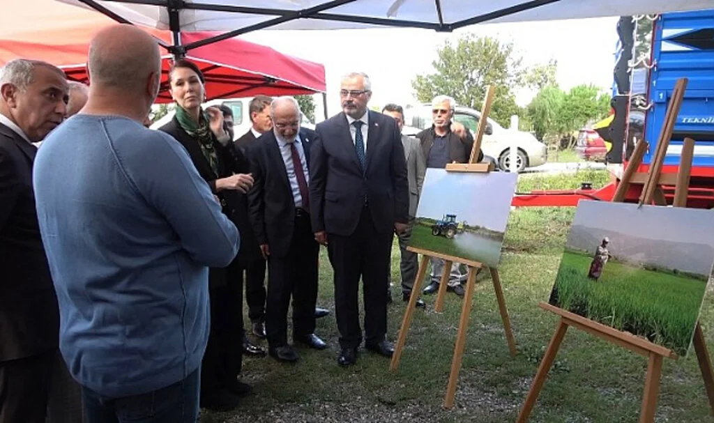 Samsun Bafra Ovası'nda 10. Çeltik Hasat Şenliği: 165 Bin Ton Rekolte Beklentisi