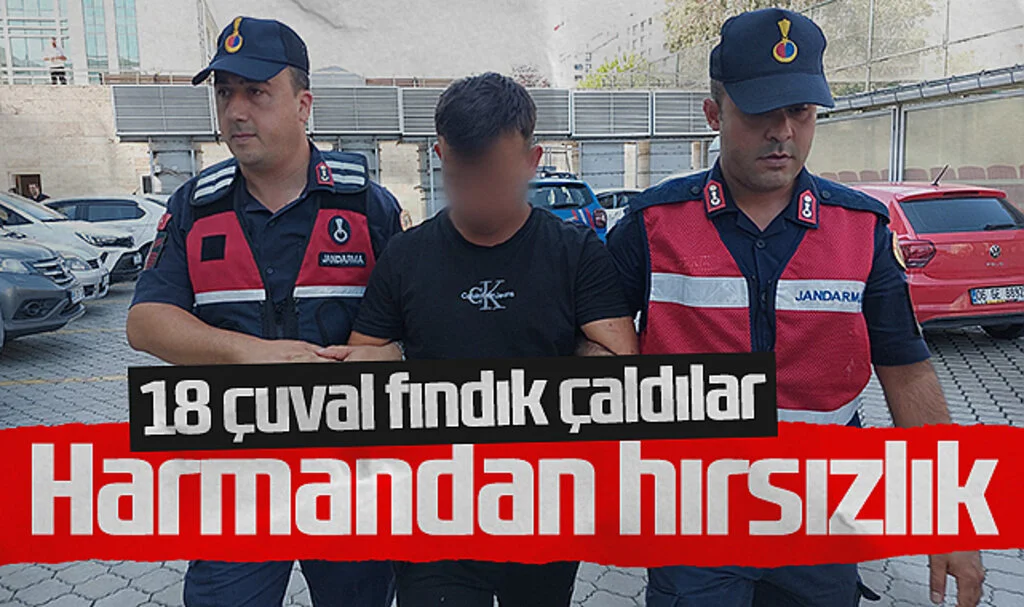 Samsun'da 18 Çuval Fındık Çalındı: 2 Kişi Yakalandı
