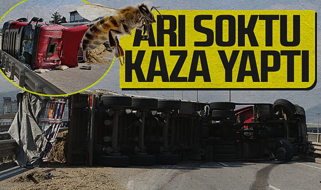 Samsun'da Arı Sokan Tır Şoförü Kaza Geçirdi
