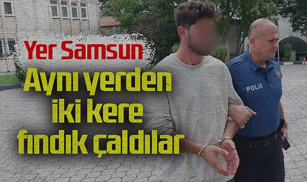 Samsun'da Aynı Yerden İkinci Kez Fındık Hırsızlığı: 2 Gözaltı