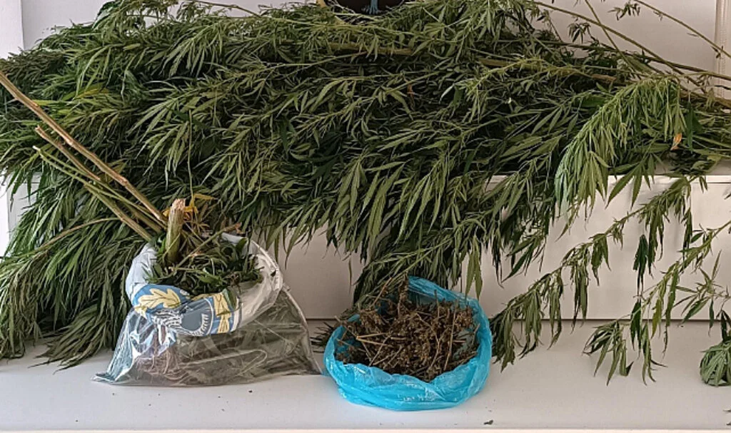 Samsun'da Bin 248 Gram Esrarla Yakalanan Şahıs Tutuklandı