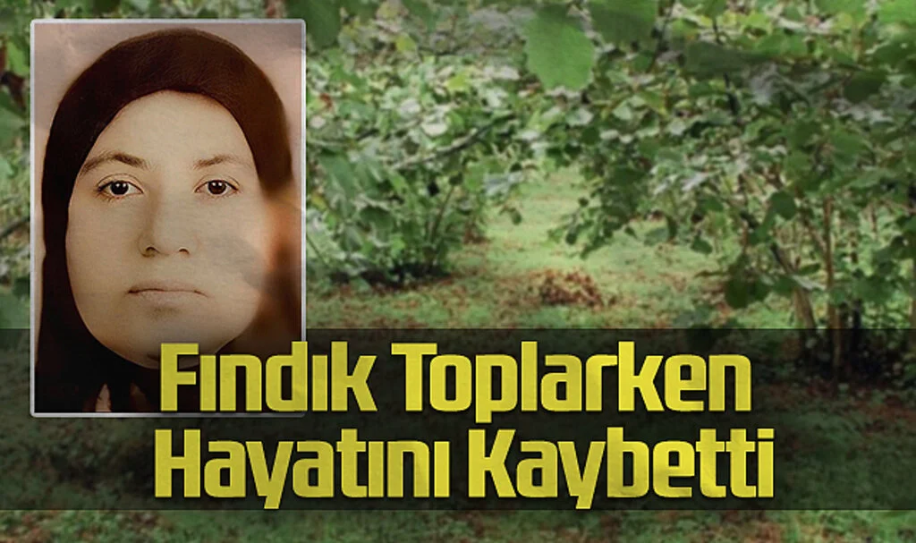 Samsun'da Fındık Toplarken Hayatını Kaybetti