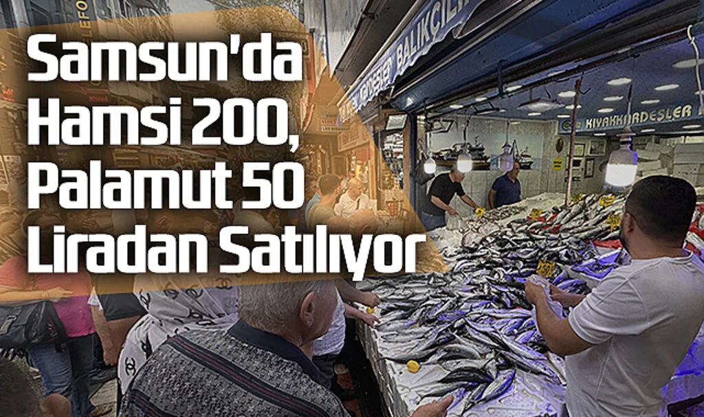 Samsun'da Hamsi 200, Palamut 50 Liradan Satılıyor