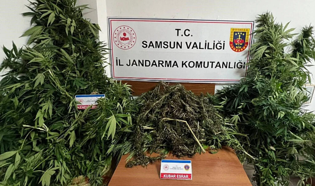 Samsun'da jandarma 7 kilo kubar esrar ele geçirdi
