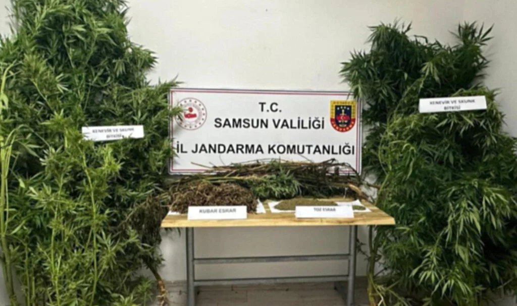 Samsun’da Jandarmadan Uyuşturucu Operasyonu: 2 Gözaltı
