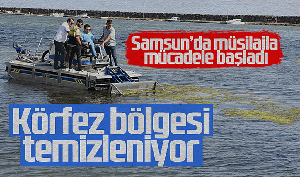 Samsun'da Müsilaj Sorununa Etkili Müdahale: Körfez Bölgesi Temizleniyor