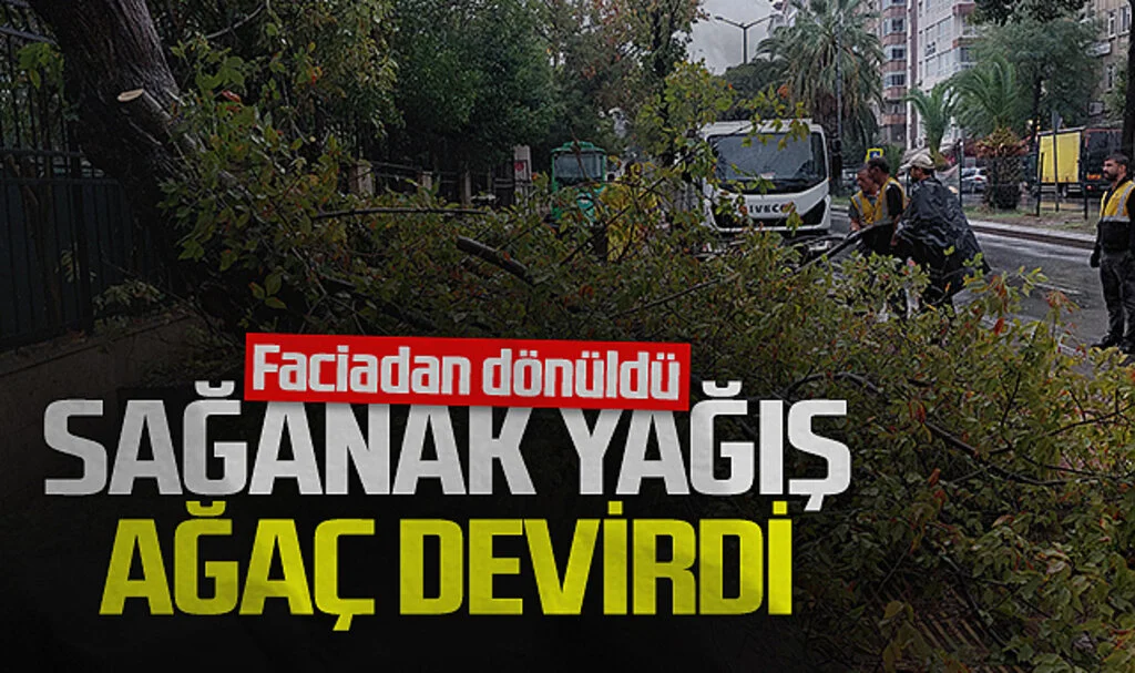 Samsun’da Sağanak Yağış Ağaç Devirdi, Faciadan Dönüldü