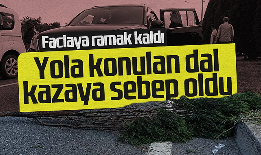 Samsun’da Şok Kaza: Çam Dalı Zincirleme Trafik Kazasına Yol Açtı!