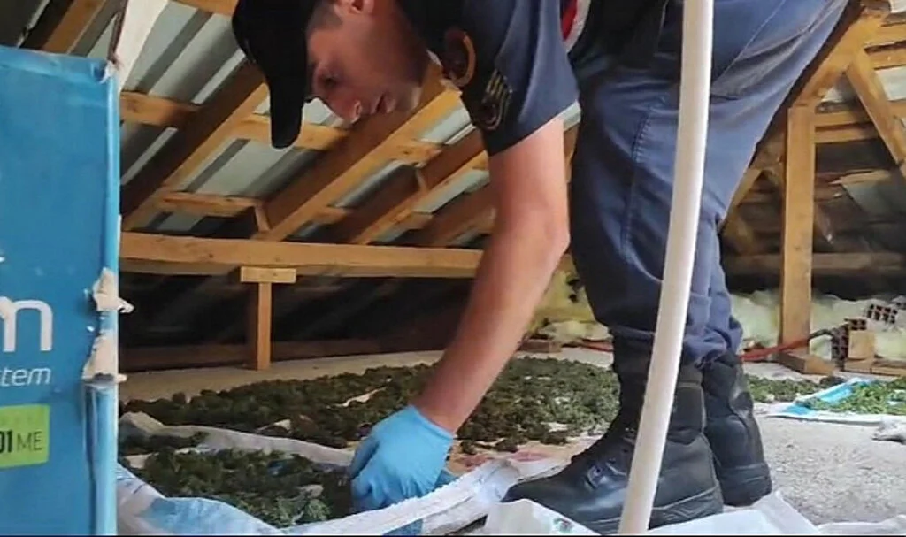Samsun’da Uyuşturucu Operasyonu: Jandarma Evde Gizlenmiş Uyuşturucuyu Buldu