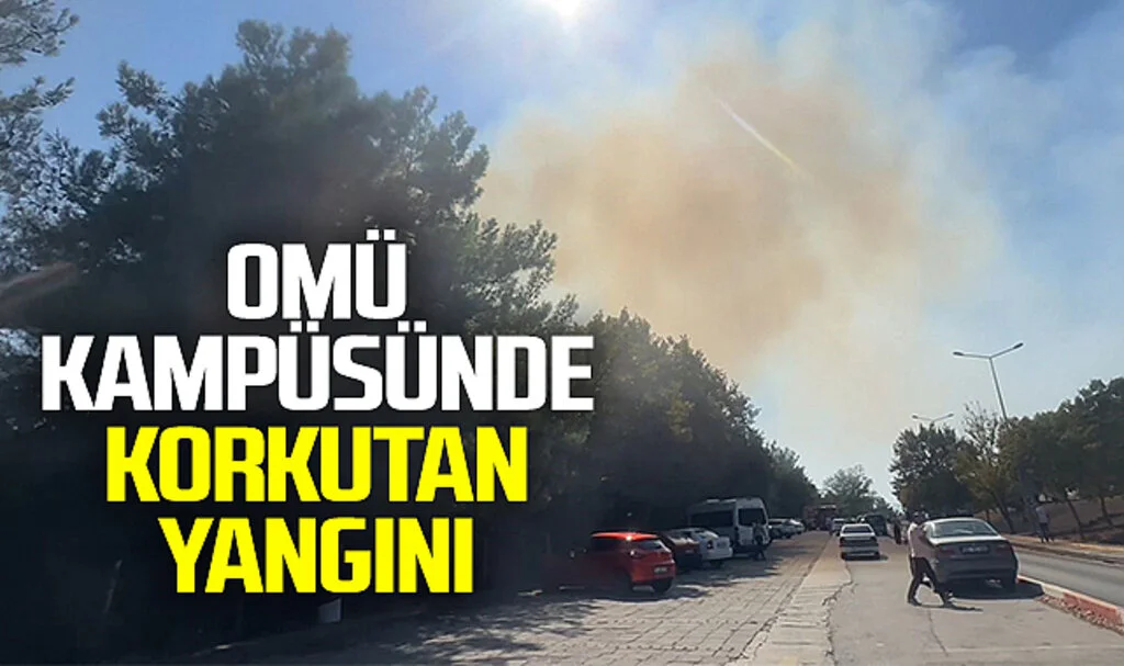 OMÜ'de ormanlık alanda yangın