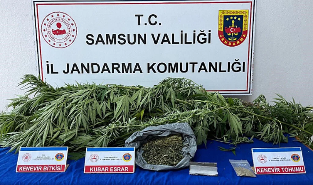 Samsun Terme'de Jandarma Operasyonunda Uyuşturucu Ele Geçirildi
