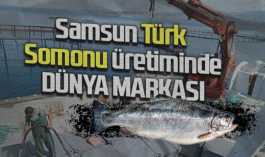 Samsun Türk Somonu Üretiminde Dünya Markası Oldu