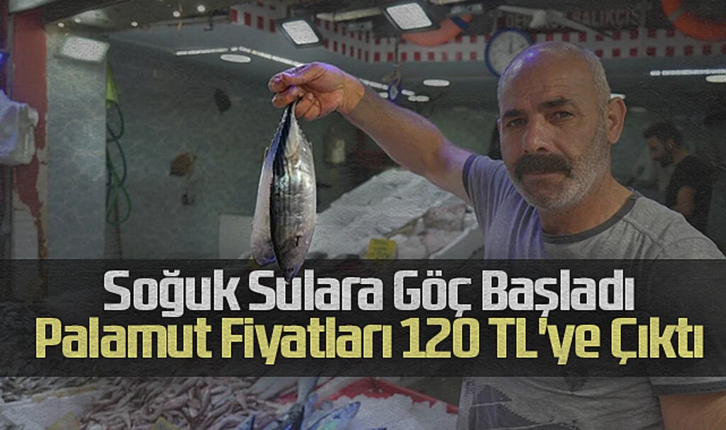 Soğuk Sulara Göç Başladı: Palamut Fiyatları 120 TL'ye Çıktı