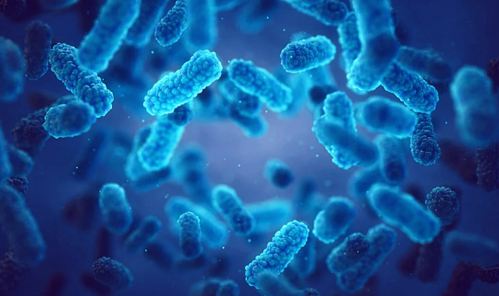 Süper Bakteri Krizi Derinleşiyor: Antibiyotikler Artık İşe Yaramıyor