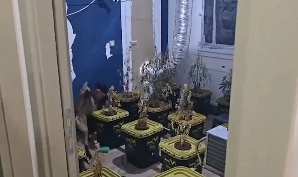 Uyuşturucu Satıcılarına Narkoçelik-40 Operasyonu