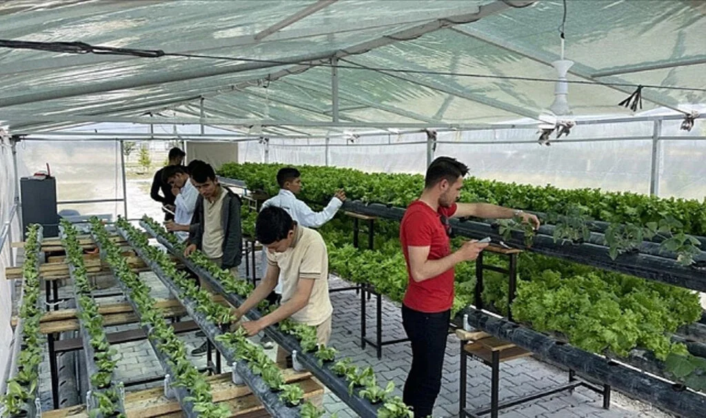 Yapay Zeka Destekli Tarım Projeleriyle Verim Artıyor