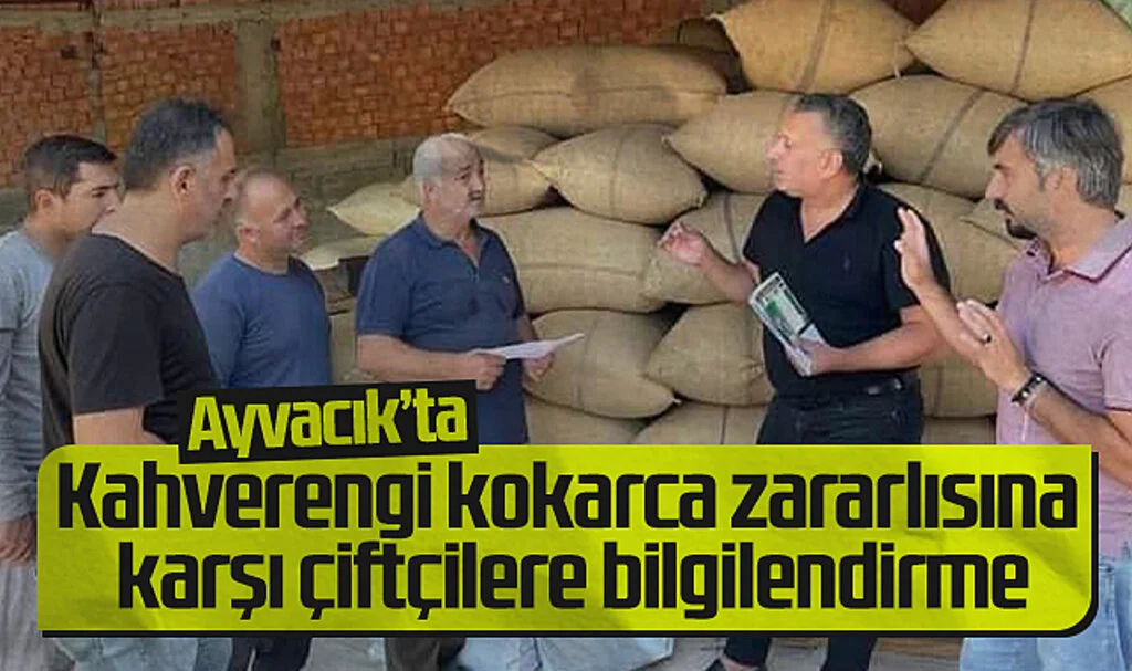 Ayvacık'ta Çiftçilere Kahverengi Kokarca ve Dalkıran Zararlısı Eğitimi