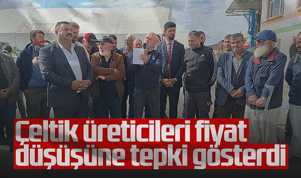 Bafra’da Çeltik Üreticileri Fiyat Düşüşüne Tepki Gösterdi