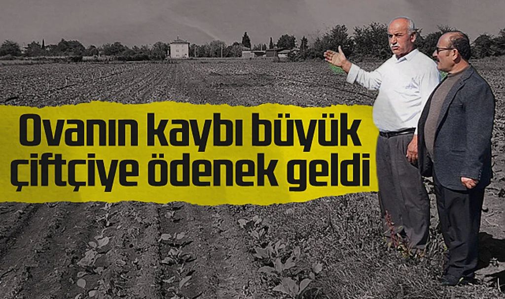 Bafra Ovası'nın kaybı büyük çiftçiye ödenek geldi