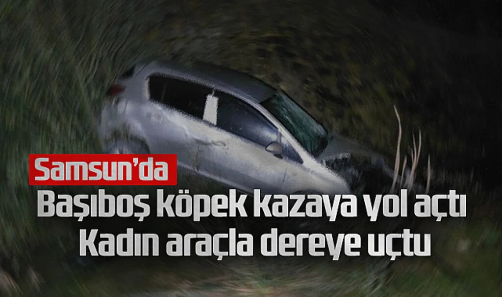 Başıboş köpek kazaya yol açtı: Kadın araçla dereye uçtu