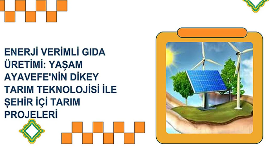Enerji verimli gıda üretimi: Yaşam Ayavefe'nin dikey tarım teknolojisi ile şehir içi tarım projeleri