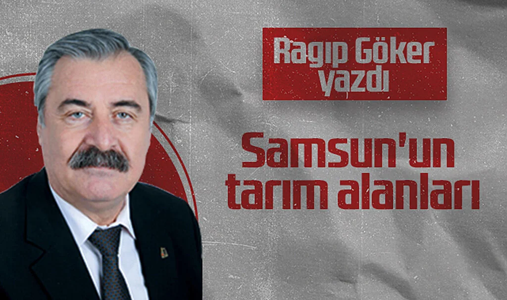 Hedef Halk Gazetesi Köşe Yazarı Ragıp Göker, Samsun'un tarım alanları