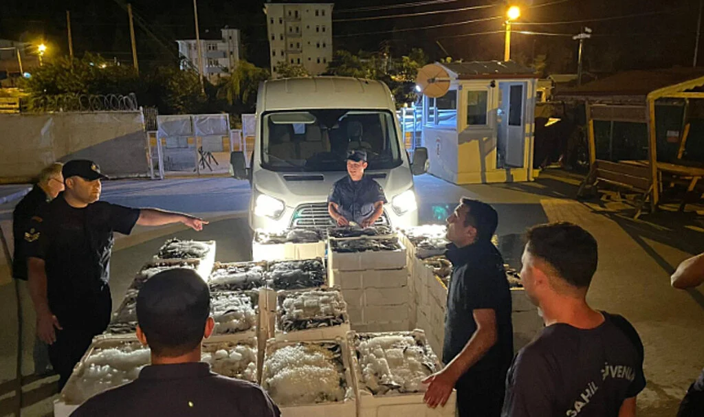 İnebolu’da 162 Kasa İstavrit, Çinekop ve Lüfere El Konuldu