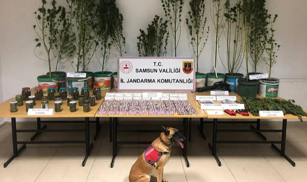 Jandarma'dan Kavak'ta Uyuşturucuya Darbe