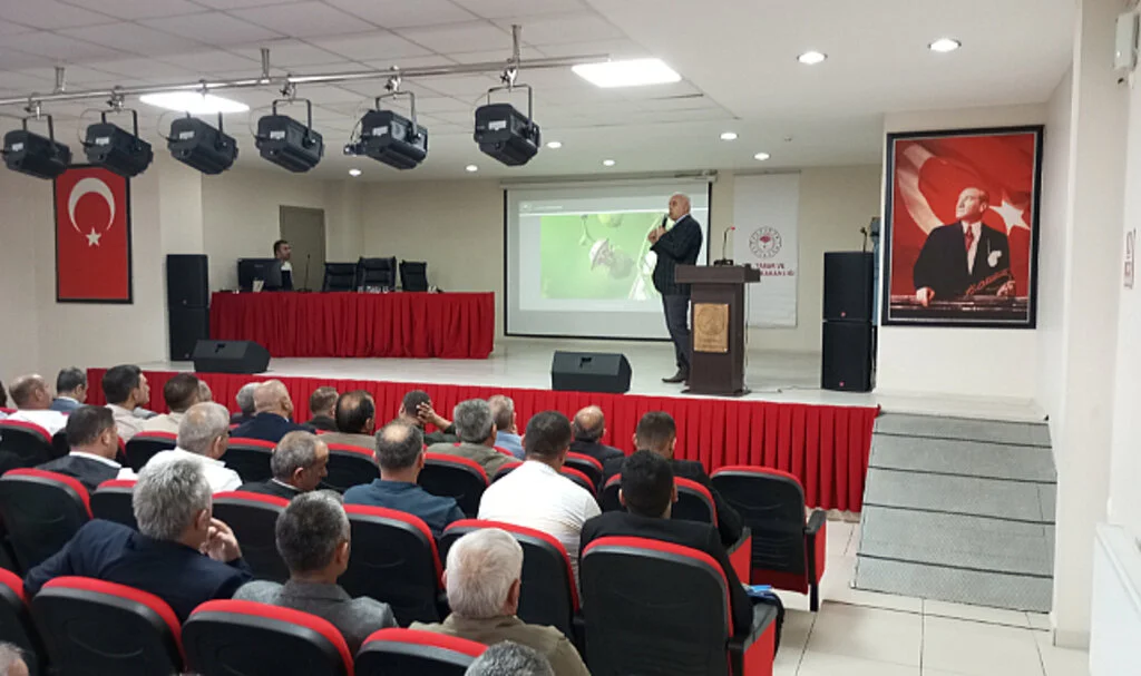Kahverengi Kokarca Tehdidine Karşı Çarşamba'da Kışlak Mücadelesi Başlıyor