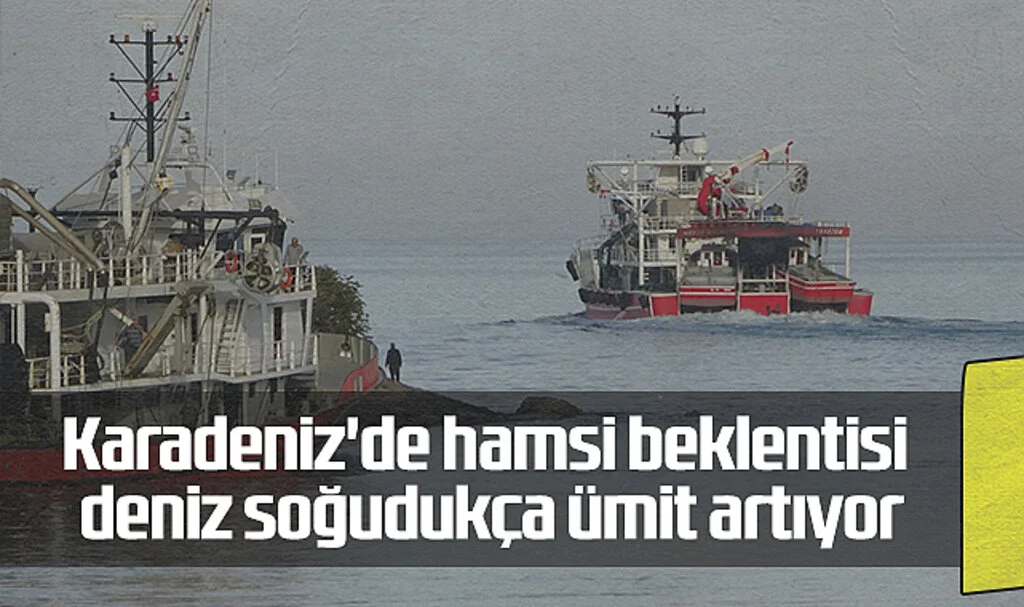 Karadeniz'de Hamsi Beklentisi: Deniz Soğudukça Ümit Artıyor