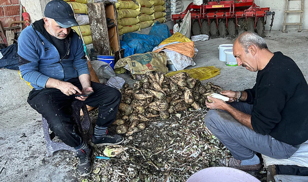 Kavak'ta Doğal Şeker Pancarı Pekmezi Üretimi Başladı